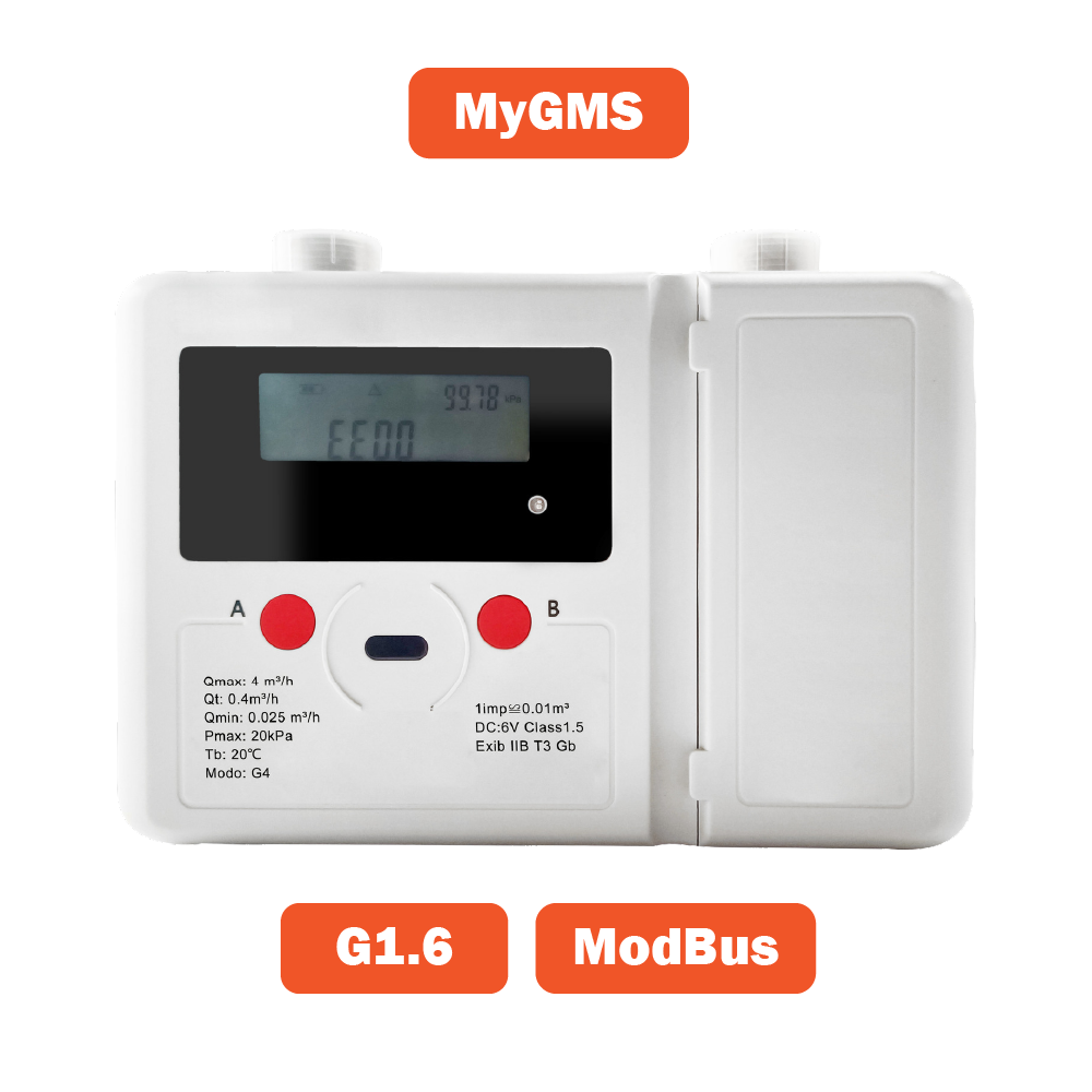  Gas meter a ultrasuoni MyGMS-G1.6 con valvola di blocco e interfaccia ModBus